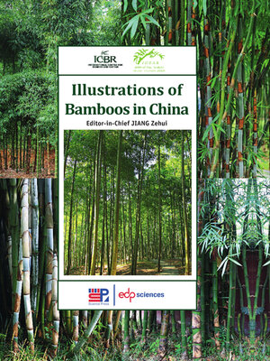 cover image of Illustrations of bamboos in China